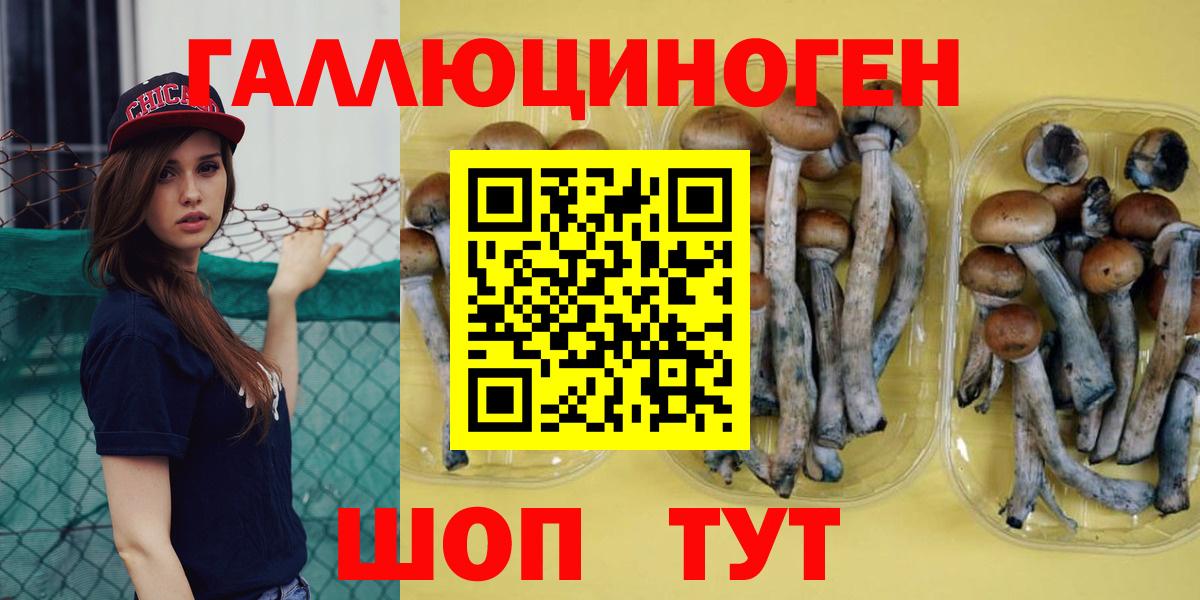 Галлюциногенные грибы MAGIC MUSHROOMS  Галлюциногенные грибы Magic Shrooms  Советск  Вход с VPN 